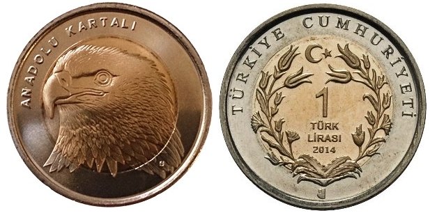 [Resmi Tam Görüntüle]