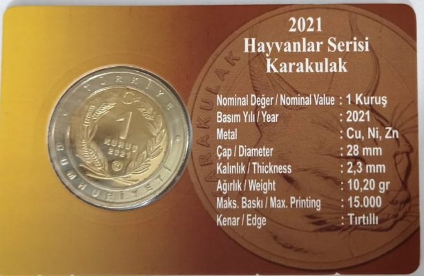 [Resmi Tam Görüntüle]