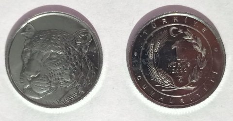 [Resmi Tam Görüntüle]