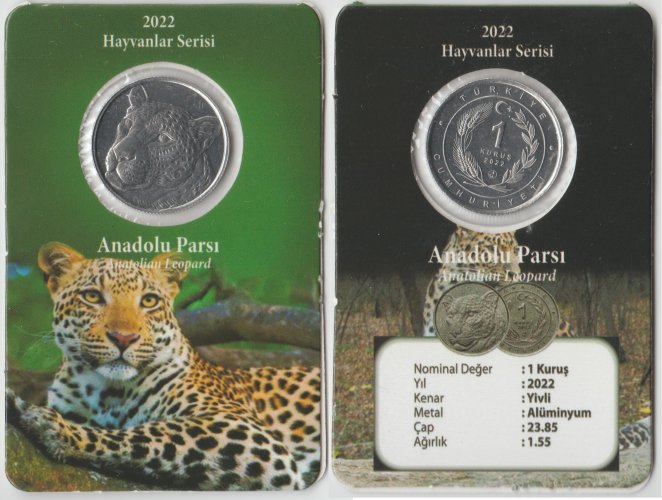 [Resmi Tam Görüntüle]