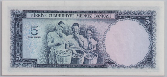 [Resmi Tam Görüntüle]