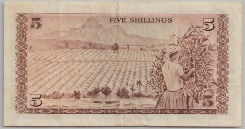 [Resmi Tam Görüntüle]