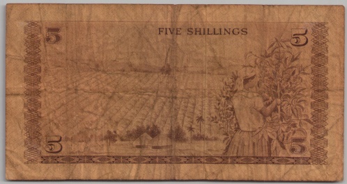 [Resmi Tam Görüntüle]