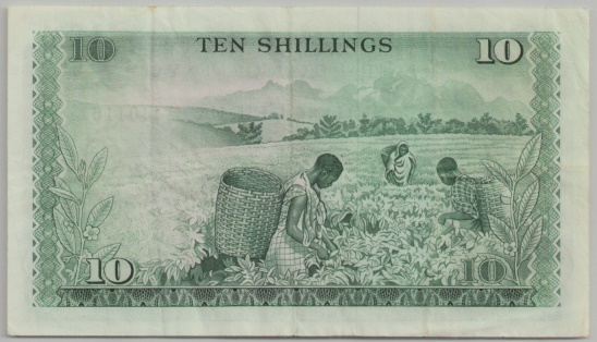 [Resmi Tam Görüntüle]