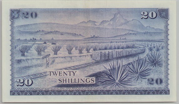 [Resmi Tam Görüntüle]