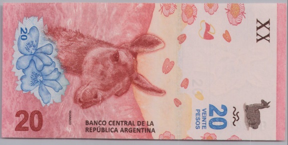 [Resmi Tam Görüntüle]