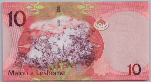 [Resmi Tam Görüntüle]