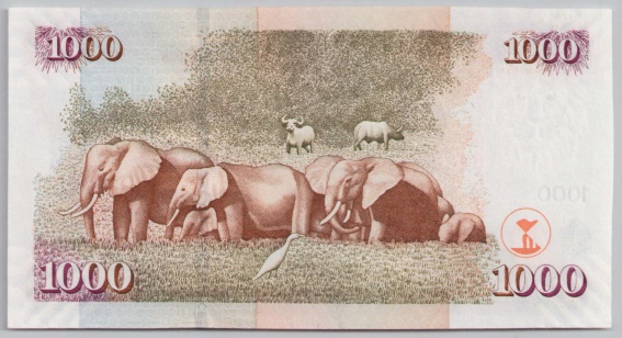 [Resmi Tam Görüntüle]