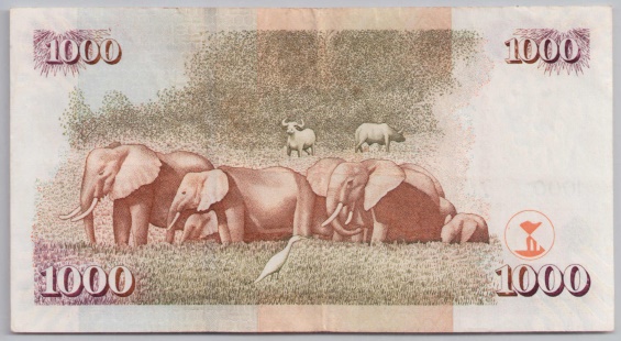 [Resmi Tam Görüntüle]