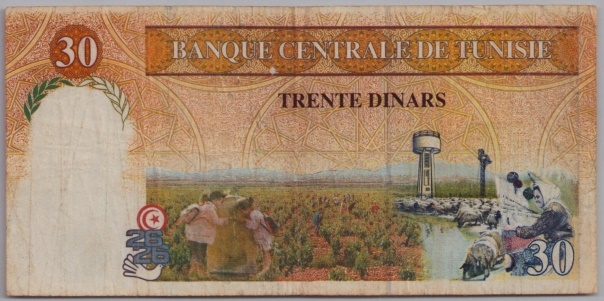 [Resmi Tam Görüntüle]