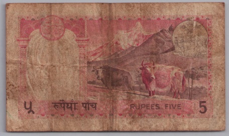 [Resmi Tam Görüntüle]