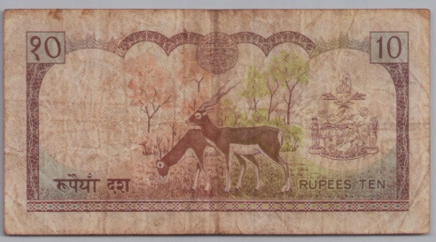 [Resmi Tam Görüntüle]