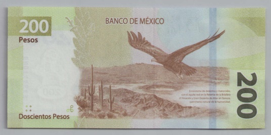 [Resmi Tam Görüntüle]