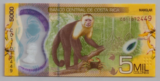 [Resmi Tam Görüntüle]