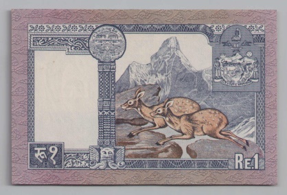 [Resmi Tam Görüntüle]