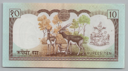 [Resmi Tam Görüntüle]