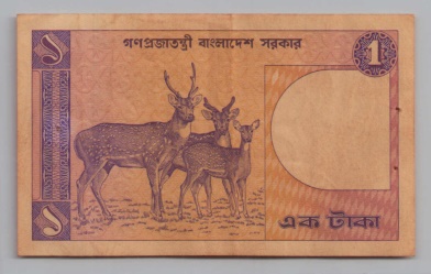 [Resmi Tam Görüntüle]