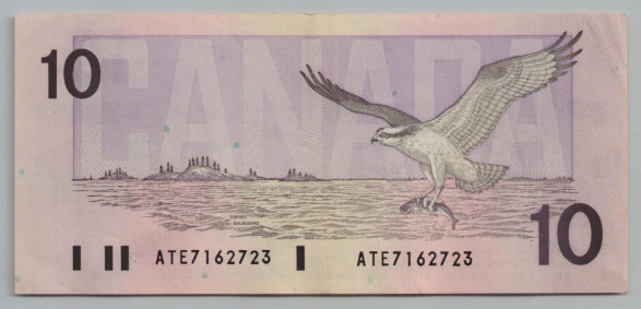 [Resmi Tam Görüntüle]