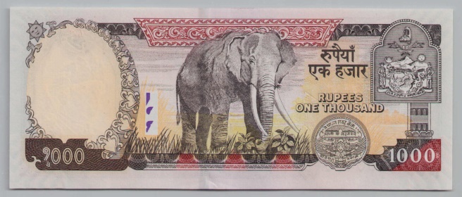 [Resmi Tam Görüntüle]